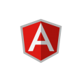 How to check the version of Angular JS ?